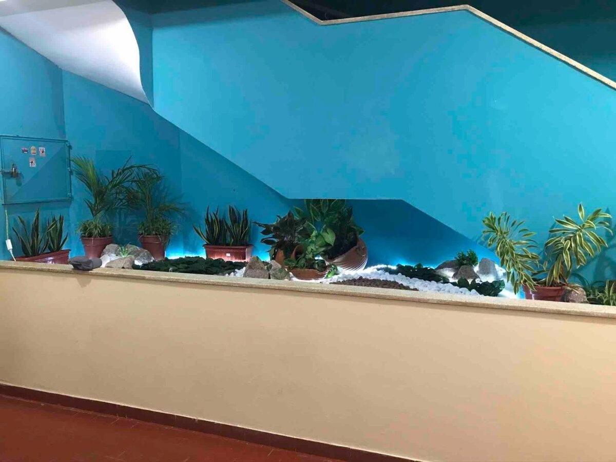 Studio Terreo - Tranquilidade Na Cidade | Wi-Fi | Poucos Metros Da Igreja Matriz. Salinópolis Exteriör bild